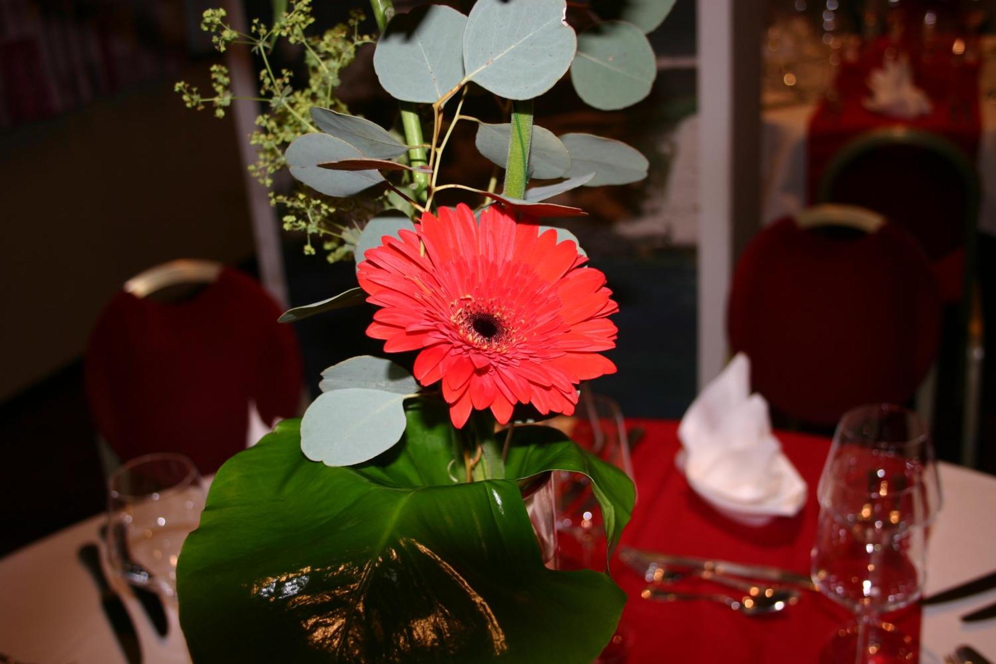 Castel Vecchio Hotel อฌักซิโอ้ ภายนอก รูปภาพ